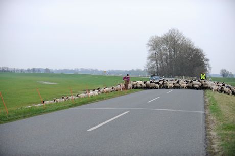 Faire Löhne